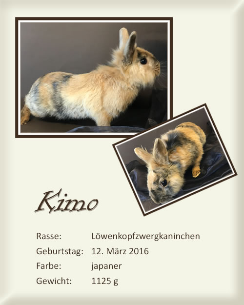 Kimo